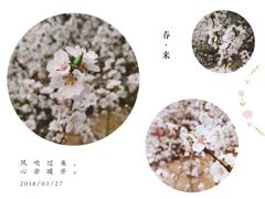 -中央民族大学