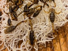 -吉林省林业宾馆-餐厅