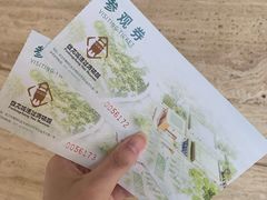 -盘龙城国家考古遗址公园