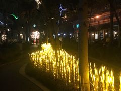 -西湖天地