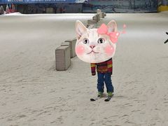 -赤马湖体育滑雪