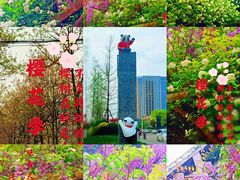 -两河城市森林公园