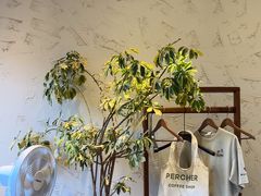-青莯_Percher Coffee Shop(皮市街店)