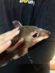 -Zoolung Zoolung动物主题公园(海信广场店)