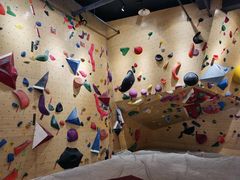 -Upper Climbing Gym 攀岩(华侨城店)