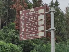 -紫鹊界梯田景区