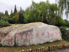 -习家池