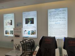 -北京观赏动物医院·24小时大型综合·猫专科·异宠专科