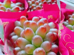 -马陆小张葡萄园农家乐