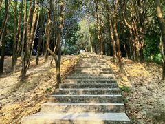 -火炉山森林公园