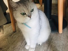 -小时光咖啡馆(北锣鼓巷店)