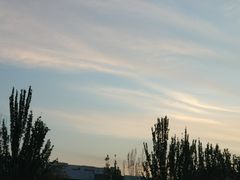 -楠同学辣糊糊