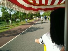 -艾溪湖湿地公园