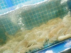-坛南湾农家乐·海鲜楼·大排档(平潭坛南湾店)