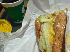-SUBWAY赛百味(高新绿宝店)