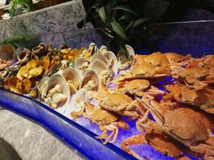 -瑞德姆美人鱼海底演艺主题餐厅(亚龙湾店)