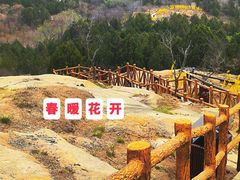 -白水寺森林公园