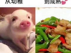 -观景小胖烧烤(观景店)