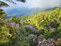 -梧桐山风景名胜区