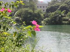 -紫云谷景区