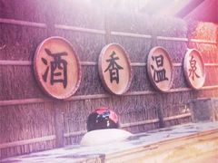 -天目湖御水温泉·度假酒店