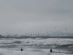 -海岛日记(养马岛店)