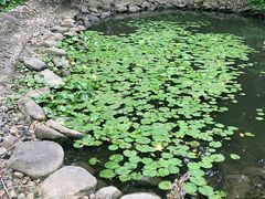 -苏州河梦清园环保主题公园