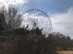 -万泉公园