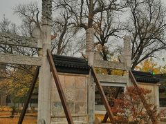 -苏州文庙(姑苏区)