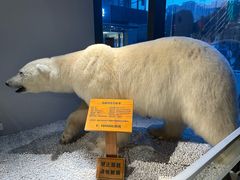 -魏客咖啡(中铁中心店)