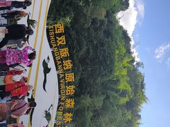 -西双版纳原始森林公园