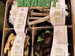 -海底捞火锅(太阳宫凯德mall店)