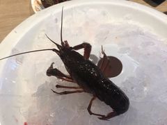 -星伦多自助料理·涮烤一体(杭州来福士店)