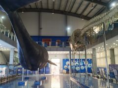 -上海海洋大学鱼文化博物馆(军工路校区)