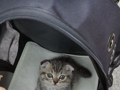 -瑞派宠物医院(搏威敦和院)