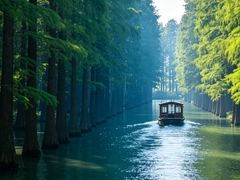 -苏州上方山国家森林公园