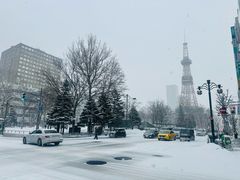 -大通公园