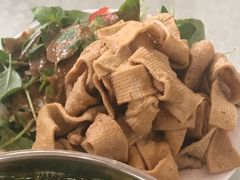 -杨记拉面总店