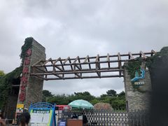 -塘沽森林公园