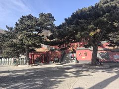 -妙峰山风景名胜区