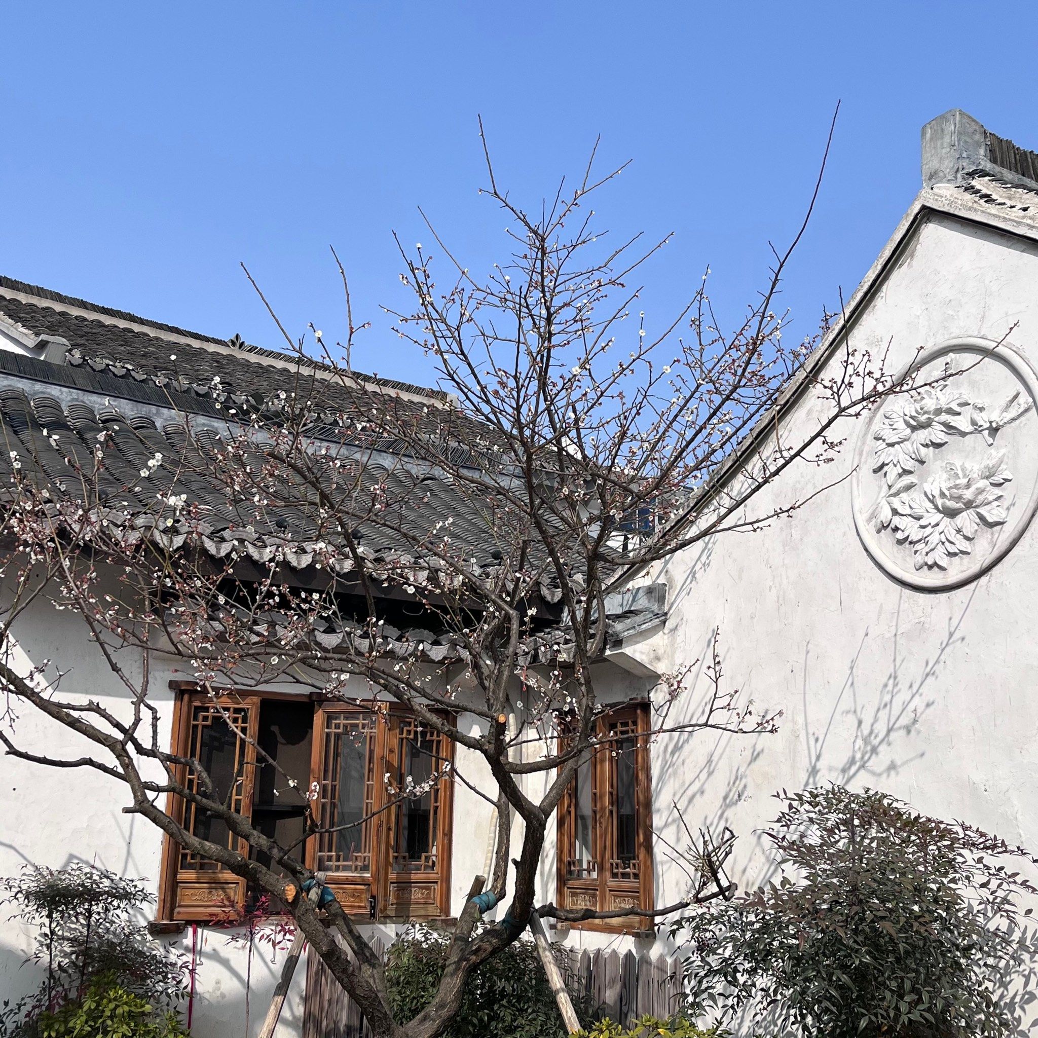 青砖 黛瓦 白墙,一座城,一个故事