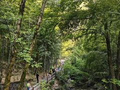 -藏龙百瀑风景区