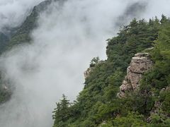 -牛背梁国家森林公园