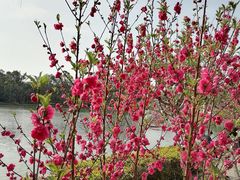 -西湖公园(鼓楼区)