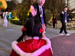 -成都欢乐谷