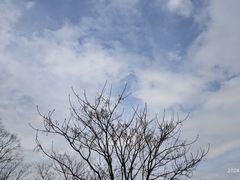 -南京市江宁方山