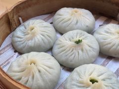 时令野菜汤包-屋有鲜
