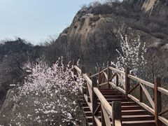 -大岭沟猕猴桃谷风景区