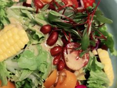 -紫光园·烤鸭·北京菜(劲松店)