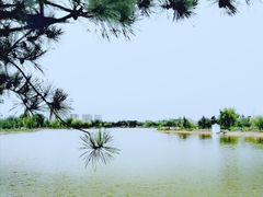 -通辽森林公园
